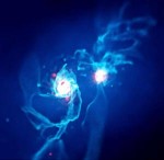 Galaxie M31 v Andromedě je menší a vznikla srážkou dvou hvězdných ostrovů