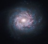 Spirální galaxie NGC 3982 v novém světle