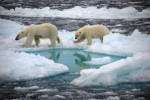 Již brzy bude severní pól v létě zcela bez ledu