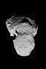 asteroid Iokawa (JAXA, Hayabusa misson)
